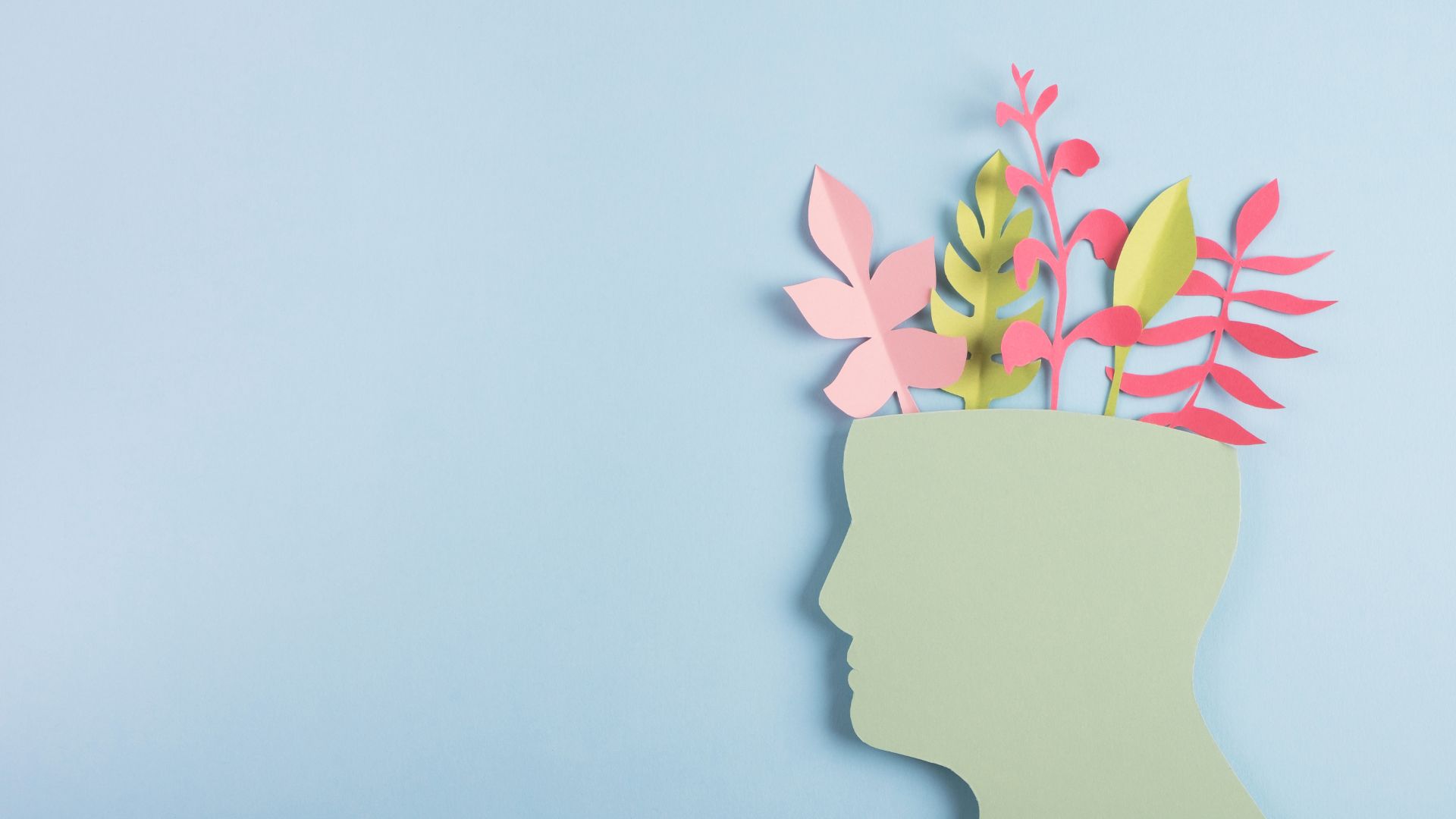 Featured Image for the article